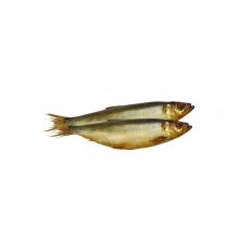 Рыба (сельдь тих коп)