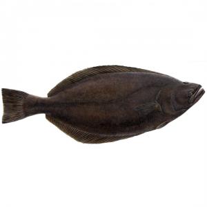 Рыба (палтус черный)