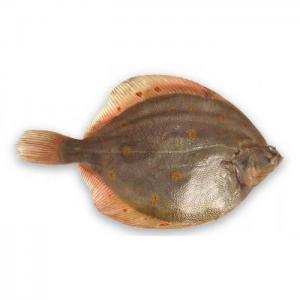 Рыба (камбала черноморская)